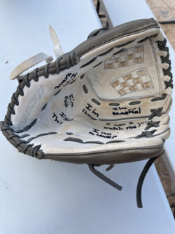glove