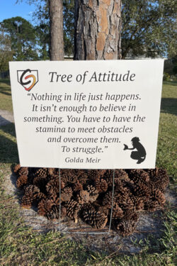 tree_of_attitude